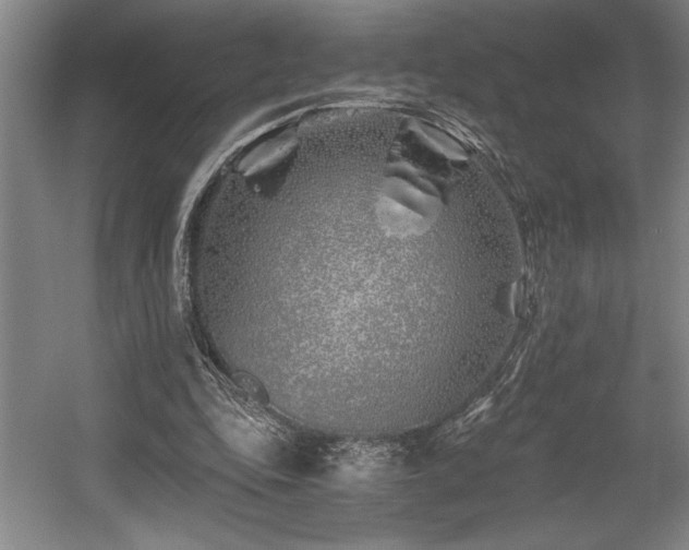 X0000056020343200508191333