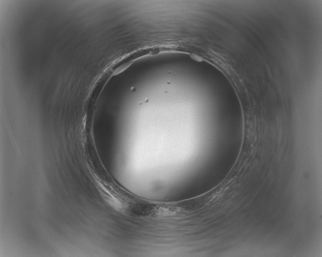 X0000056020346200508191333