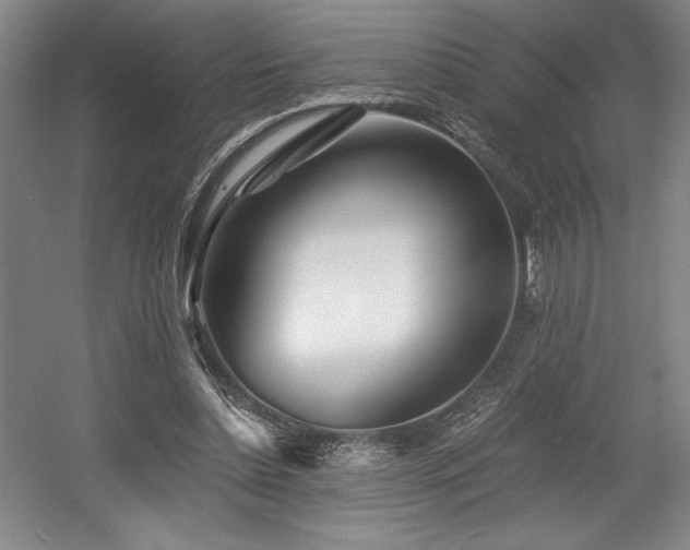 X0000056020348200508191333