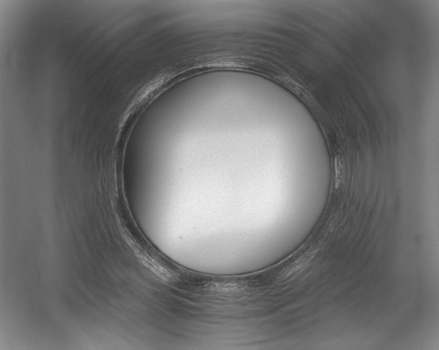 X0000056020349200508191333