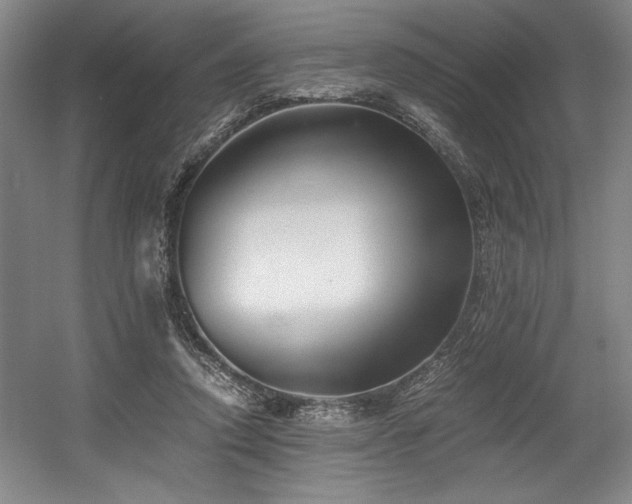 X0000056020354200508191333