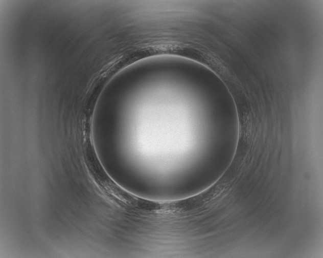 X0000056020356200508191333