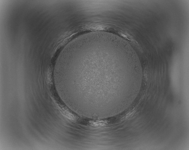 X0000056020359200508191334