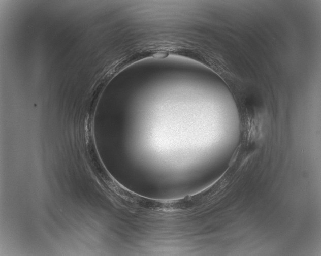 X0000056020360200508191334