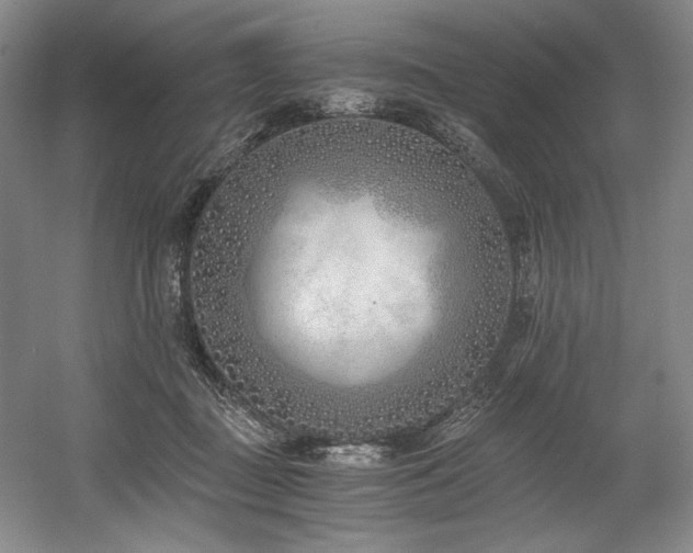 X0000056020363200508191334