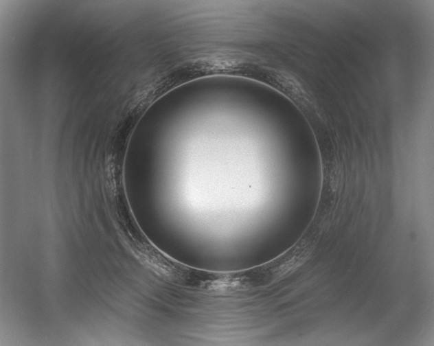 X0000056020366200508191334