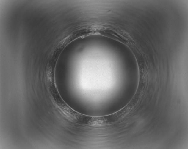 X0000056020368200508191334