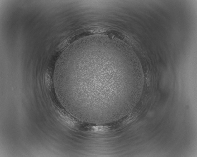 X0000056020371200508191334