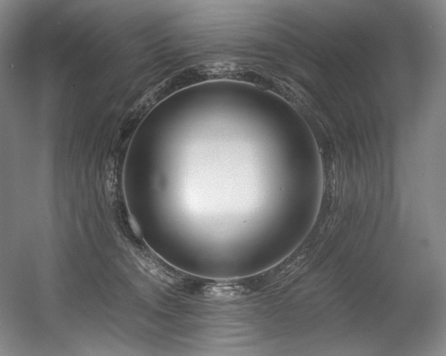 X0000056020372200508191334