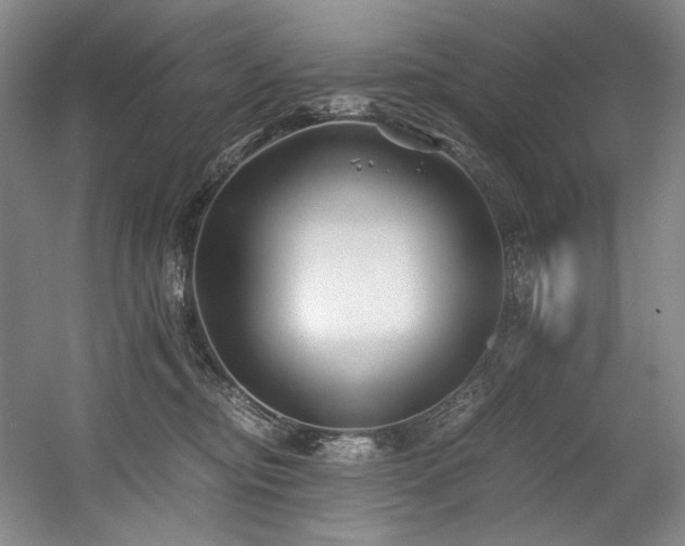 X0000056020374200508191334