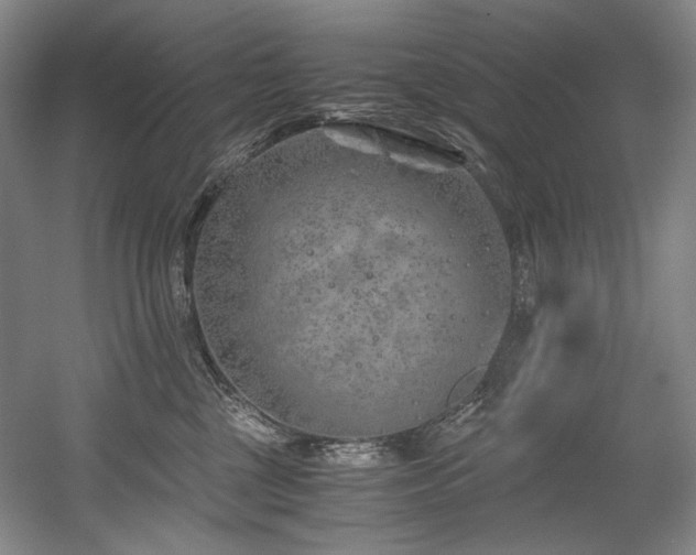 X0000056020377200508191334