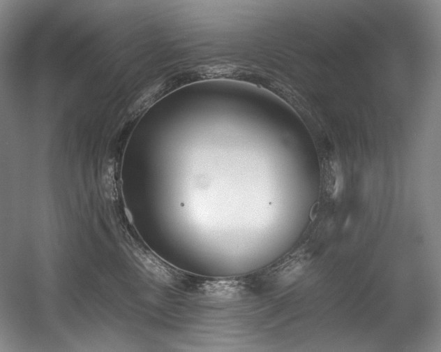 X0000056020378200508191334