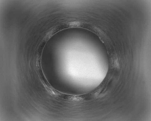 X0000056020379200508191334