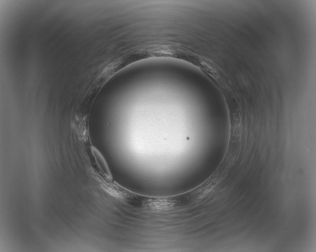 X0000056020383200508191334