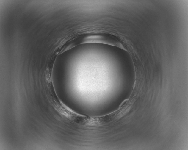 X0000056020384200508191334