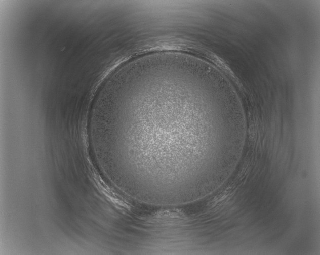 X0000056020386200508191333
