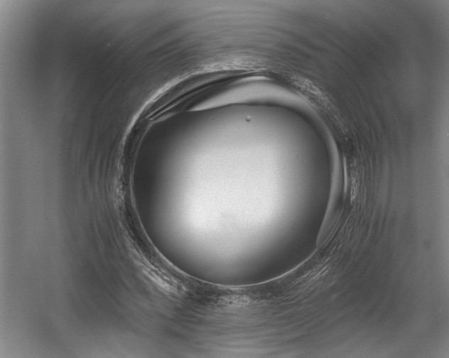 X0000056020392200508191333