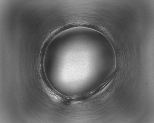 X0000056020395200508191333