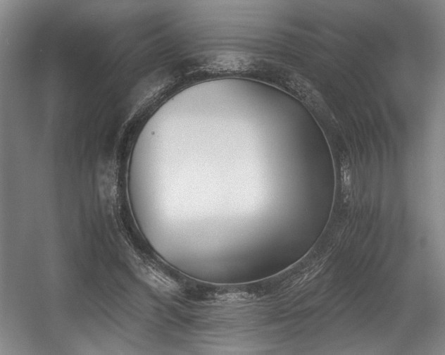 X0000056020396200508191333
