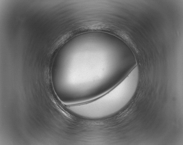 X0000056020397200508191333