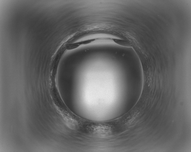 X0000056020400200508191333