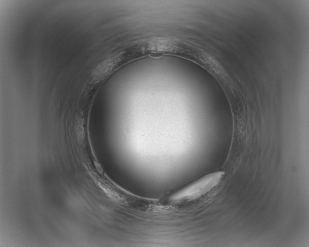 X0000056020401200508191333
