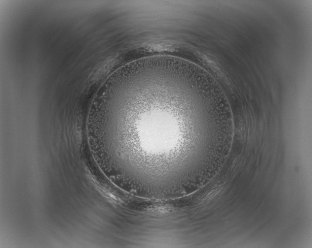 X0000056020402200508191333