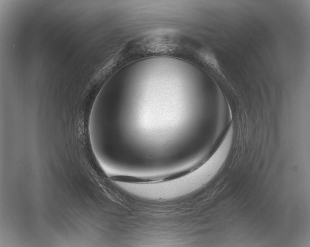 X0000056020407200508191333