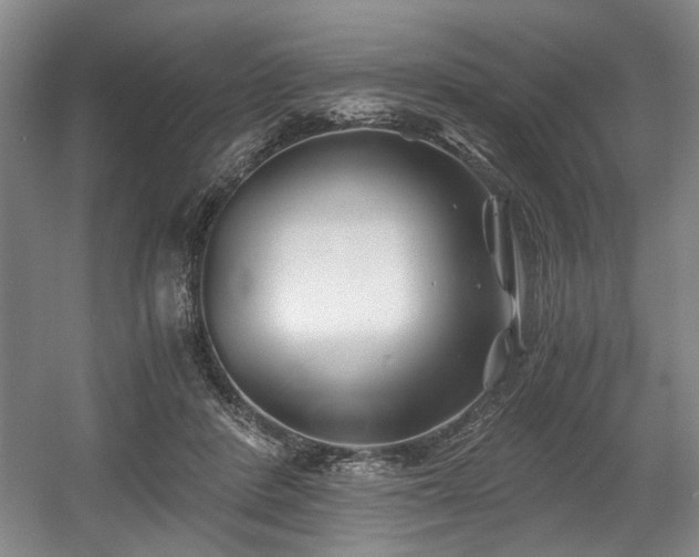 X0000056020408200508191333