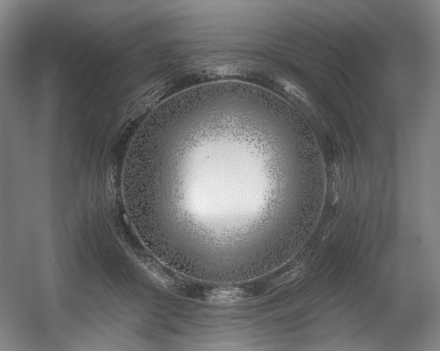 X0000056020410200508191333