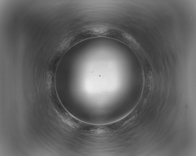 X0000056020412200508191333