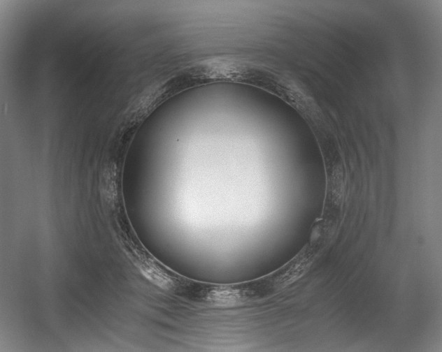 X0000056020413200508191333