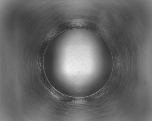 X0000056020414200508191333