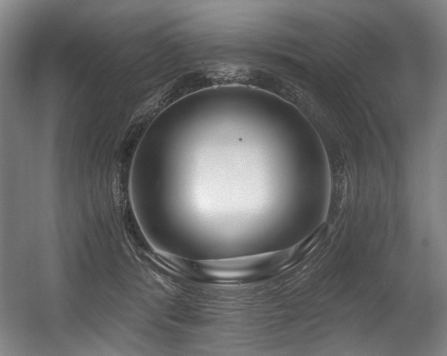X0000056020416200508191333