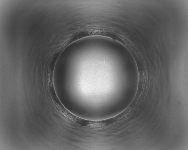X0000056020417200508191333