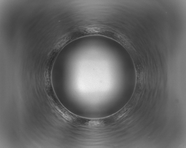 X0000056020418200508191333