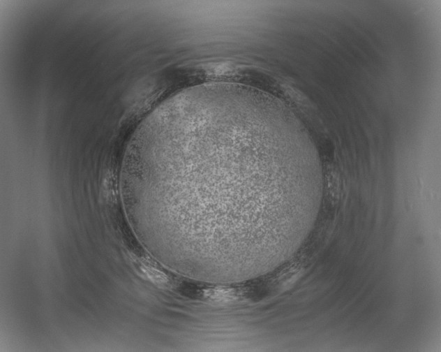 X0000056020419200508191333