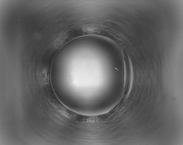 X0000056020420200508191333