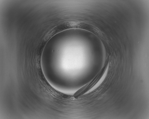 X0000056020421200508191333