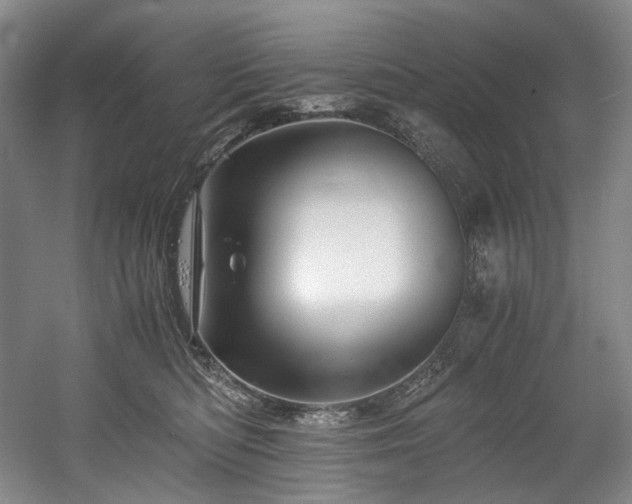 X0000056020422200508191332