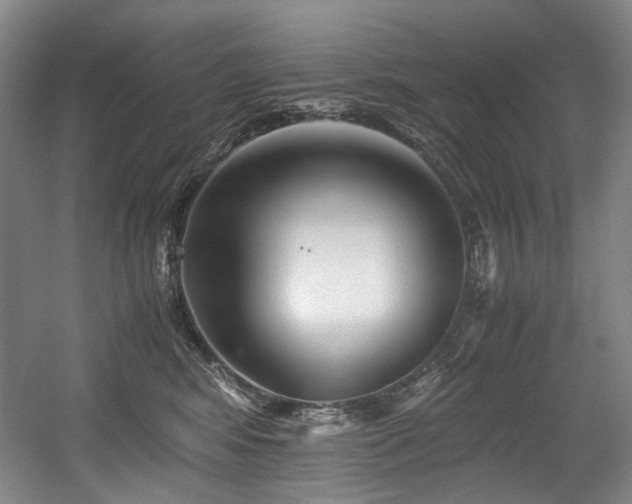 X0000056020424200508191332