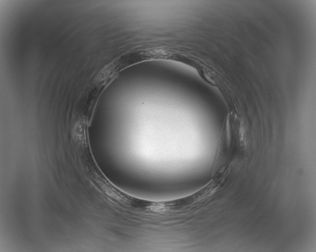 X0000056020425200508191332