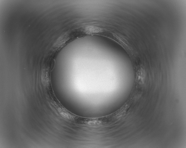 X0000056020426200508191332