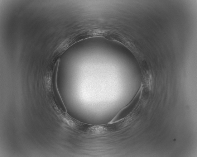 X0000056020427200508191332