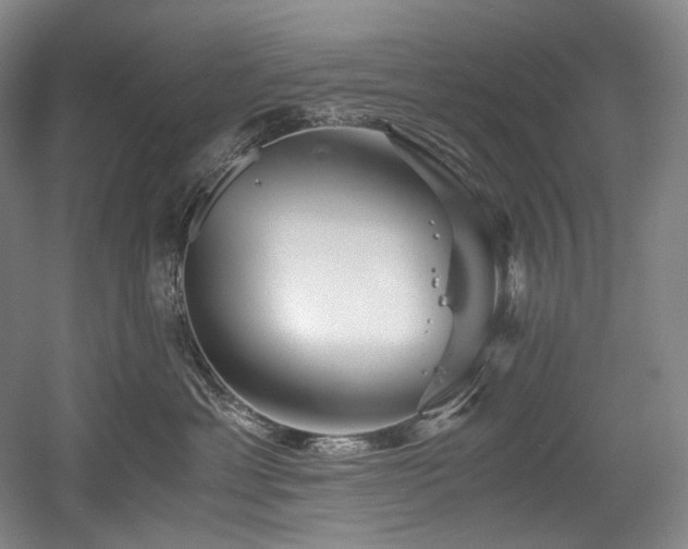 X0000056020429200508191332