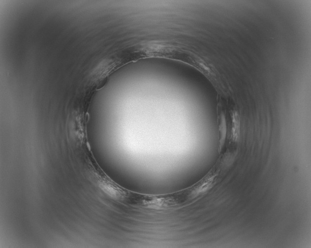 X0000056020430200508191332