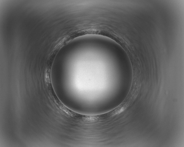 X0000056020432200508191332