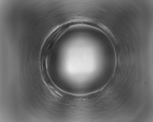 X0000056020436200508191332