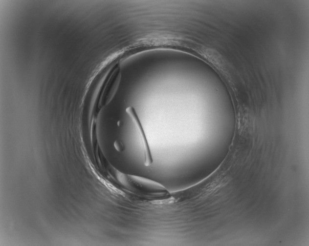 X0000056020438200508191332