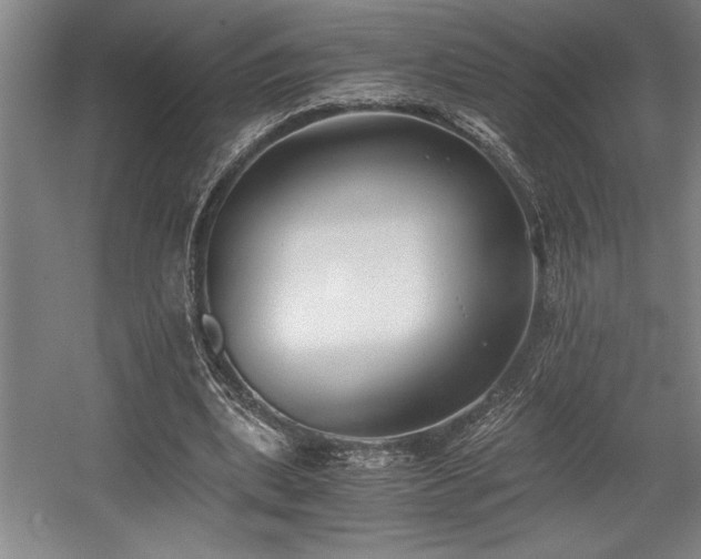 X0000056020439200508191332